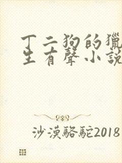 丁二狗的猎艳人生有声小说封面