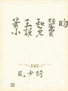 萧王和楚昀宁的小说免费