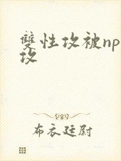 双性攻被np日攻封面