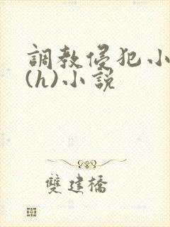调教侵犯小男生(h)小说
