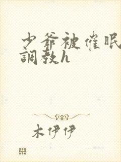 少爷被催眠玩弄调教h