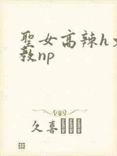 圣女高辣h文调教np