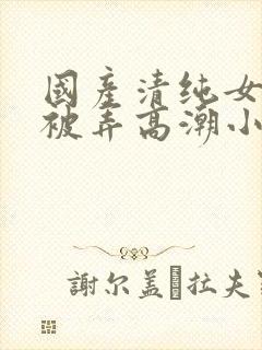 国产清纯女学生被弄高潮小说