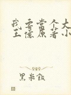 我要当个大坏蛋王亿原著小说免费