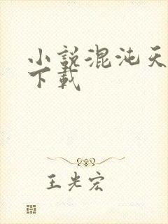 小说混沌天帝诀下载