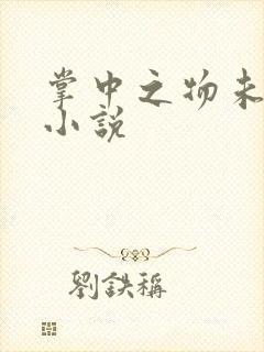 掌中之物未删减小说