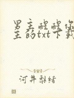 男主醒醒你是女主的txt下载封面