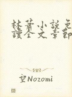 林萧小说免费阅读全文章节封面