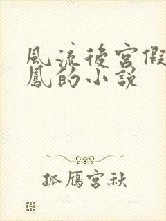 风流后宫假龙真凤的小说