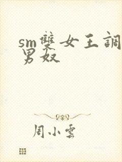 sm双女王调教男奴