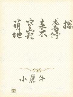 萌宝来袭总裁爹地宠不停封面