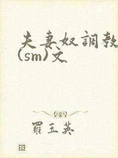 夫妻奴调教生活(sm)文