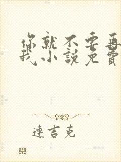 你就不要再想起我小说免费阅读全文