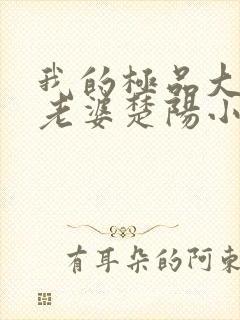 我的极品大小姐老婆楚阳小说阅读封面