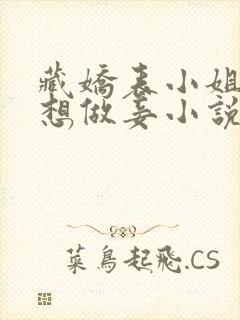 藏娇表小姐她不想做妾小说免费阅读封面