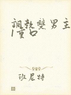 调教双男主1v1重口封面