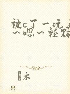 被c了一晚上啊～嗯～轻点h小说封面