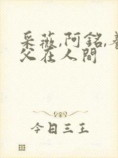 采薇,阿铭,养父在人间