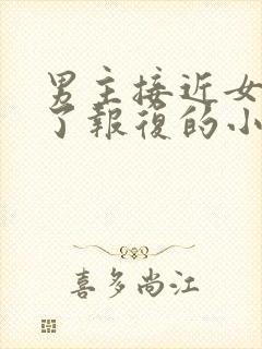 男主接近女主为了报复的小说封面