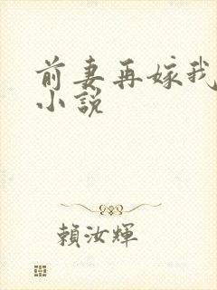 前妻再嫁我一次小说封面