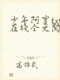 少年阿宾txt在线全文阅读