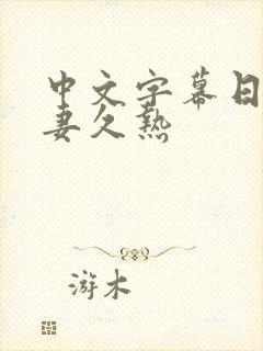 中文字幕日韩人妻久热封面