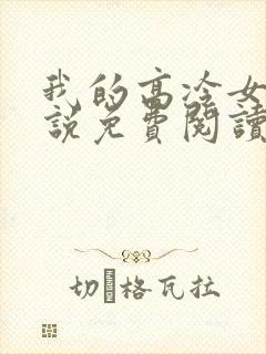 我的高冷女神小说免费阅读14