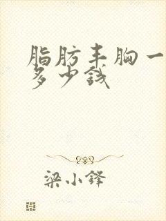 脂肪丰胸一般要多少钱