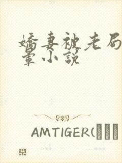 娇妻被老局长肉晕小说