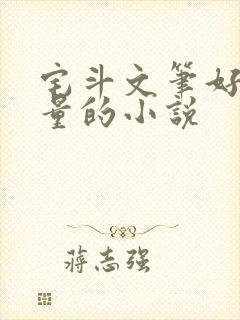 宅斗文笔好高质量的小说