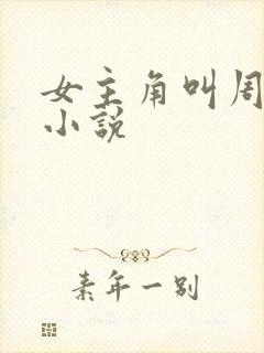 女主角叫周晴的小说