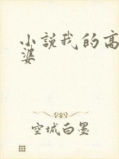 小说我的高冷老婆