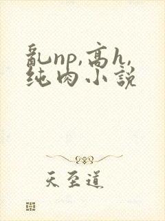 乱np,高h,纯肉小说