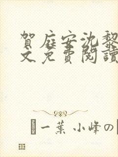 贺庭安沈黎初全文免费阅读封面