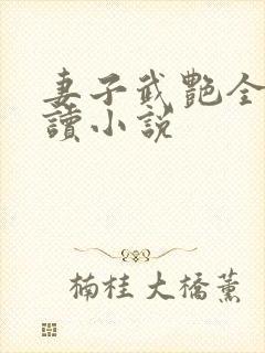 妻子武艳全文阅读小说