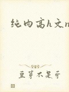 纯肉高h文np