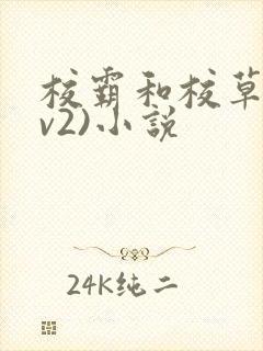 校霸和校草(1v2)小说