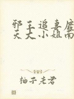 邪王追妻废材逆天大小姐南宫流云