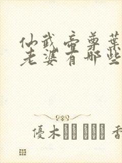 仙武帝尊叶辰的老婆有哪些