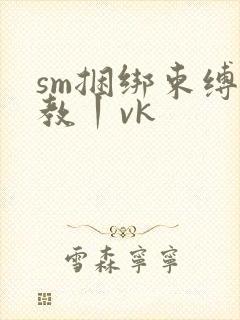 sm捆绑束缚调教丨vk