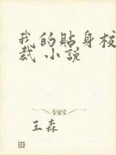 我的贴身校花总裁 小说