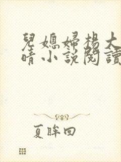 儿媳妇杨大明苏晴小说阅读