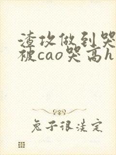 渣攻做到哭高h被cao哭高h封面