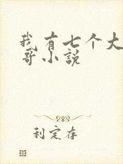我有七个大佬哥哥小说封面
