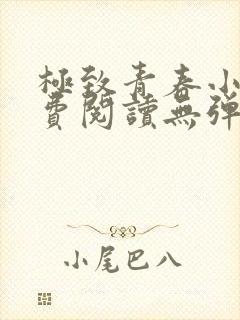 极致青春小说免费阅读无弹窗全文