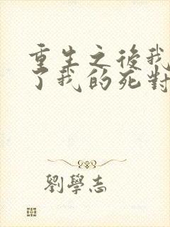 重生之后我嫁给了我的死对头封面