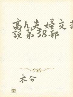 高h夫妇交换小说第38部封面