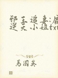 邪王追妻:废材逆天小姐txt下载封面