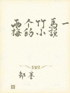 两个竹马一个青梅的小说