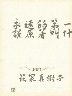 永远的第一名小说原著叫什么封面